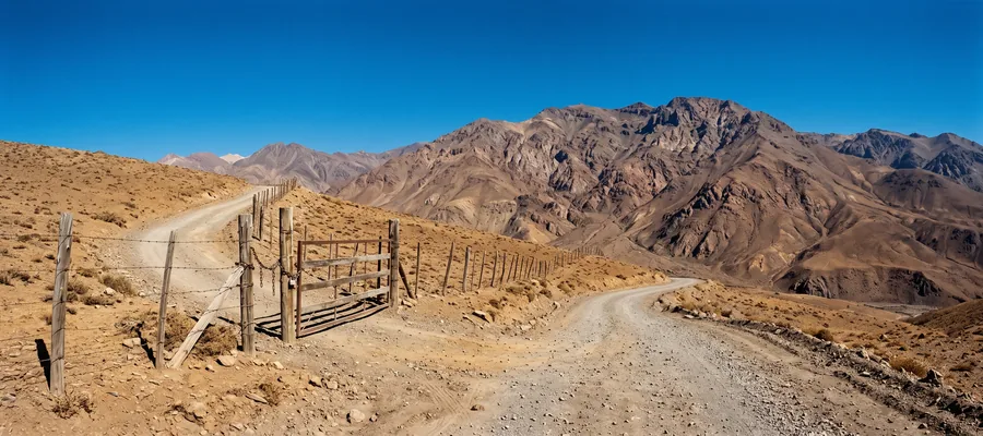 Buying land in Chile's border zones: the rule that does not apply to most foreigners